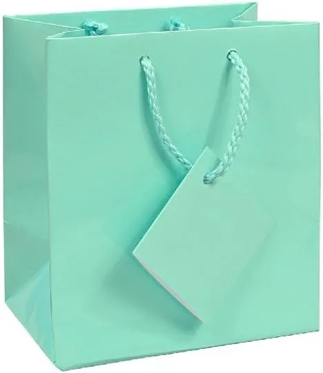10 pcs Tiny Fancy Robin's Egg Blue Glossy Finish Shopping Paper Gift Sales Tote Bags with Blank Message Tag 3" x 2" x 3.5"