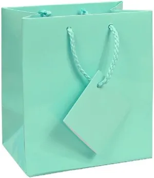 10 pcs Tiny Fancy Robin's Egg Blue Glossy Finish Shopping Paper Gift Sales Tote Bags with Blank Message Tag 3" x 2" x 3.5"