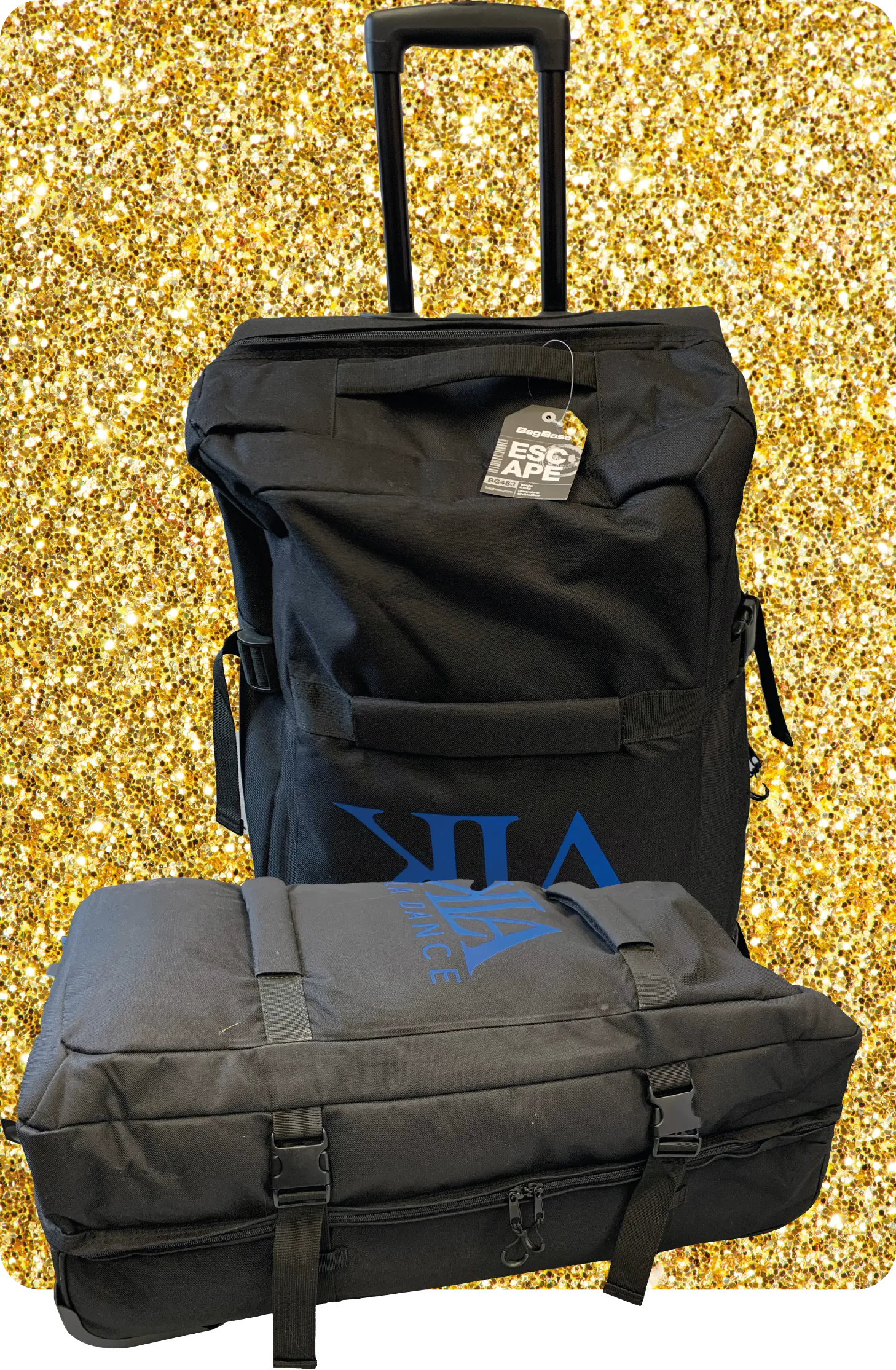 Cases & Bags
