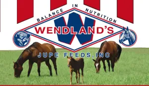 GAME BIRD DEVELOPER NON-MED 24% 50# - WENDLAND'S FEED