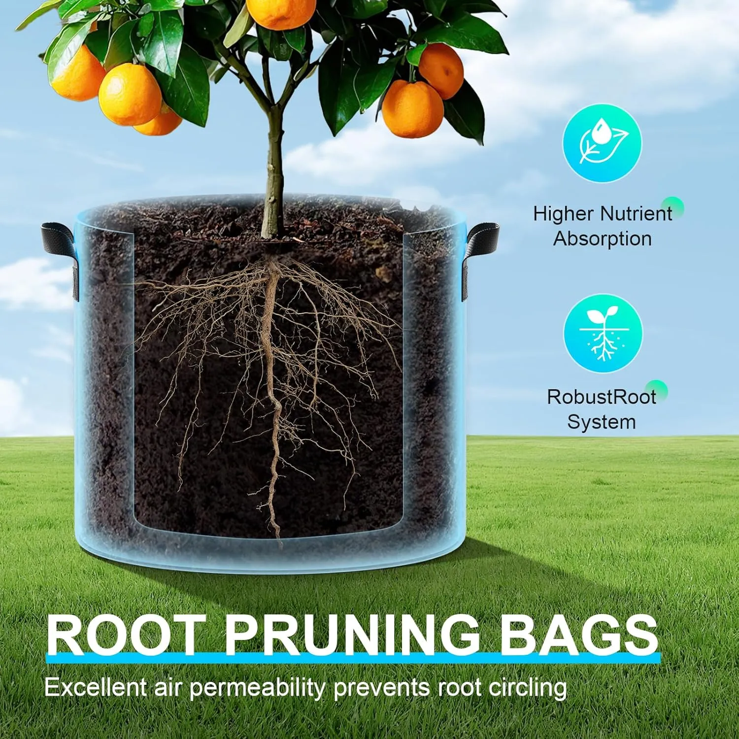 Land Guard 10-Pack Fabric Grow Bags 10 Gallon, 300G Thickened Nonwoven Plant Grow Bags, Grow Pots for Plants, Growing Bags with Handles, Planting Bags for Vegetables, Black