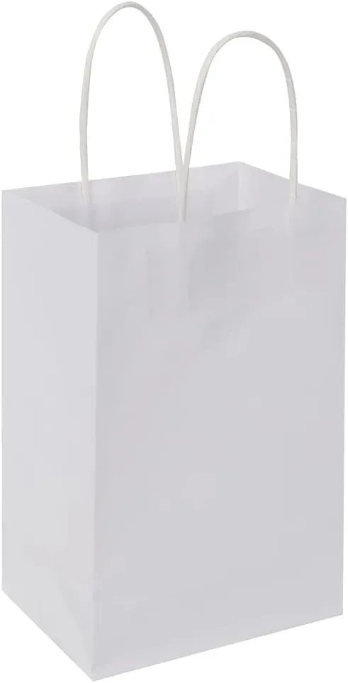 Oikss 50 Pack 5.25x3.25x8.25 Inch Small White Kraft Paper Bags with Handles Bulk for Birthday Wedding Party Favors Grocery Retail Shopping Business Goody Craft Gift Bags Cub Sacks, 50 Count