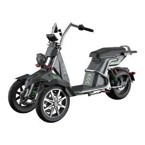 SoverSky T100 Trike