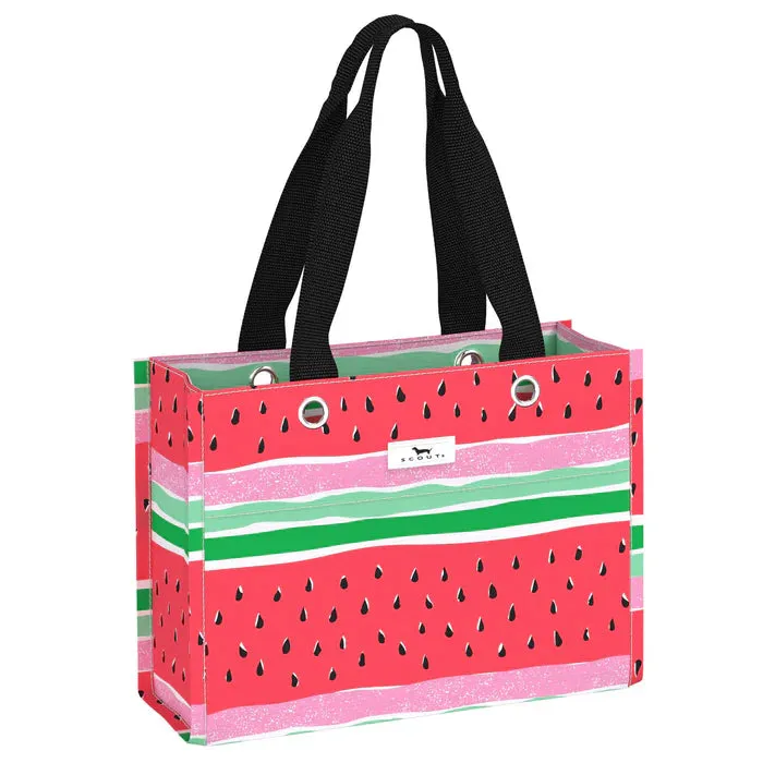 Tiny Package Gift Bag - Melondramatic