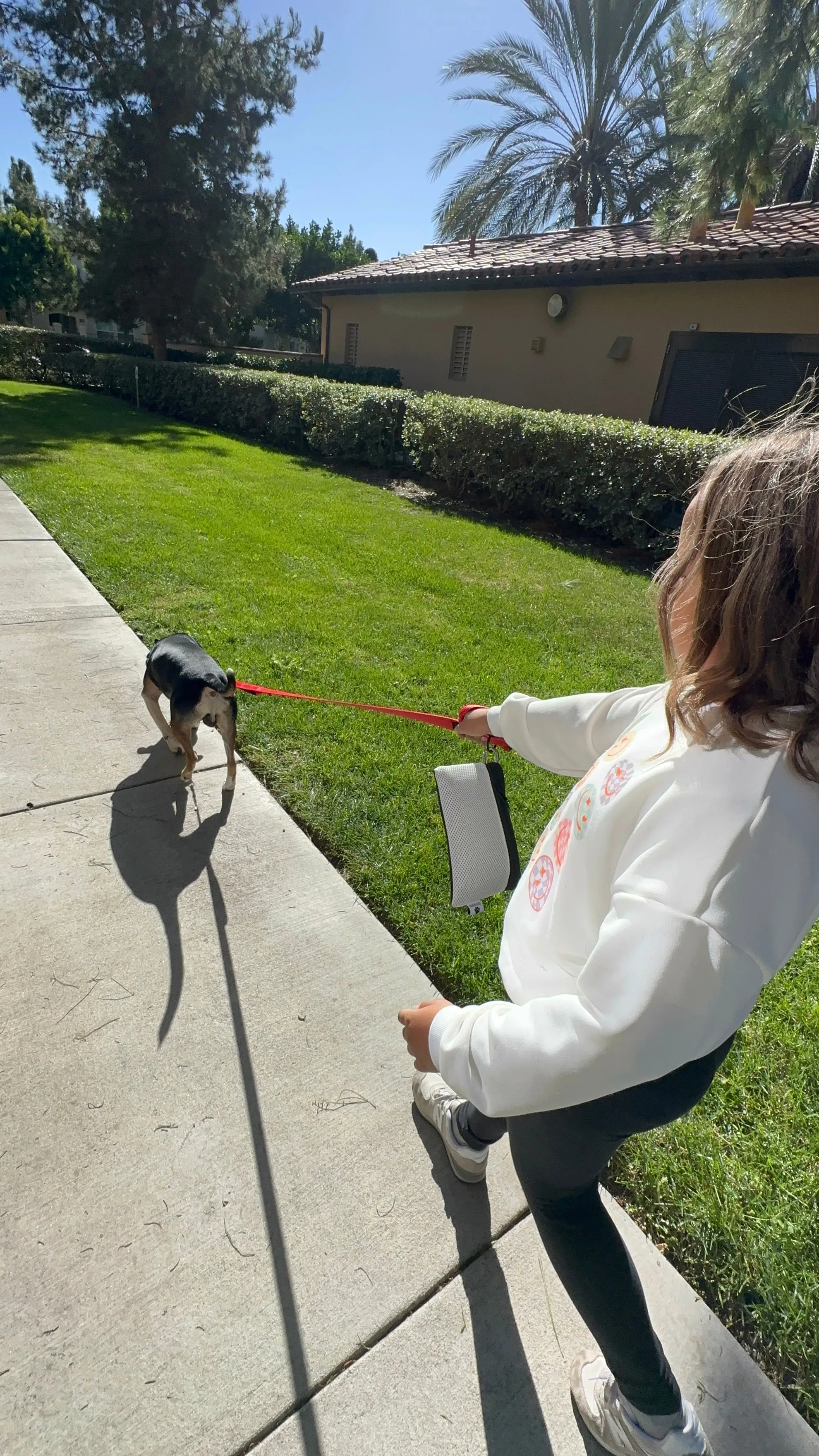 Walk Buddy Dog Waste Holder