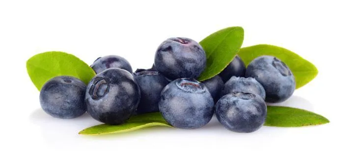Wild Blueberries